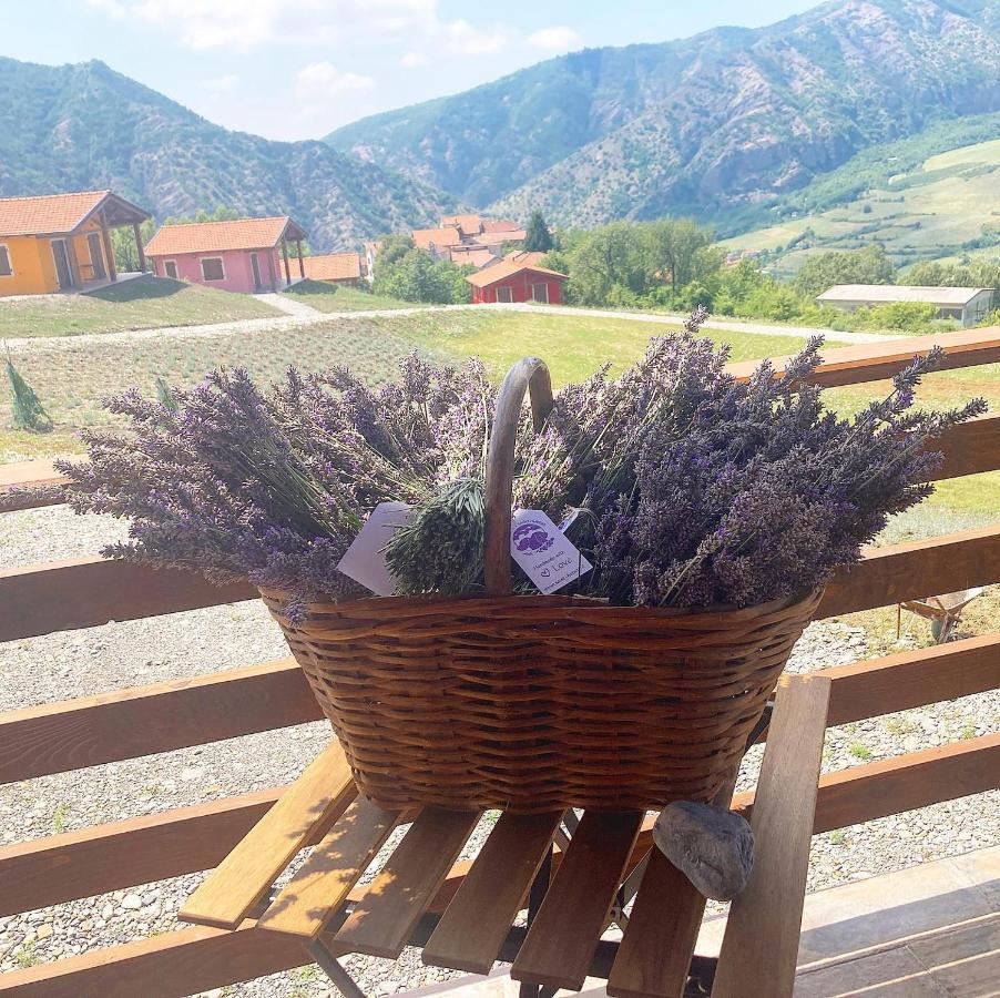 Azienda Agricola Saint Hubert Cantalupo Ligure ภายนอก รูปภาพ